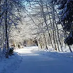 Appartement Harz Blick *