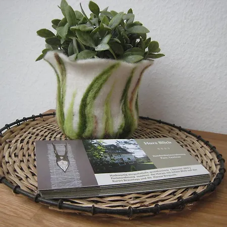 Harz Blick Apartment Braunlage