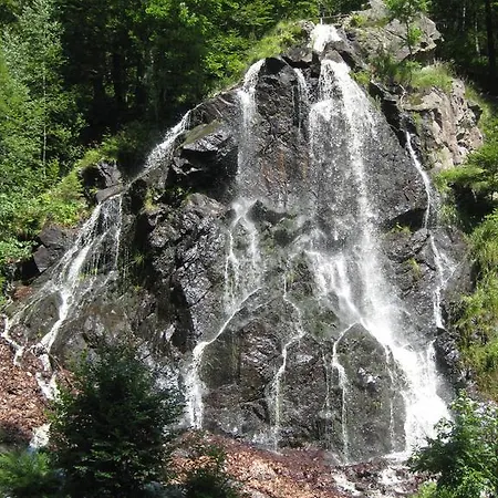 Apartmán Harz Blick