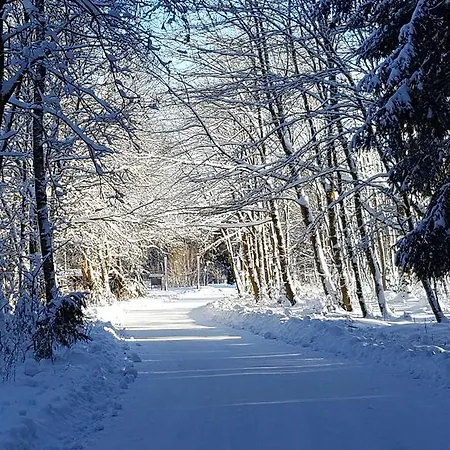 דירה Harz Blick *