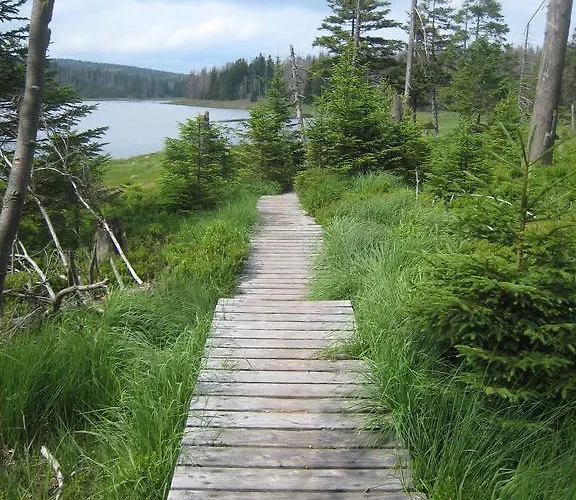 Apartament Harz Blick Braunlage
