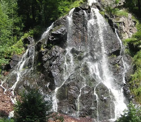 アパート Harz Blick