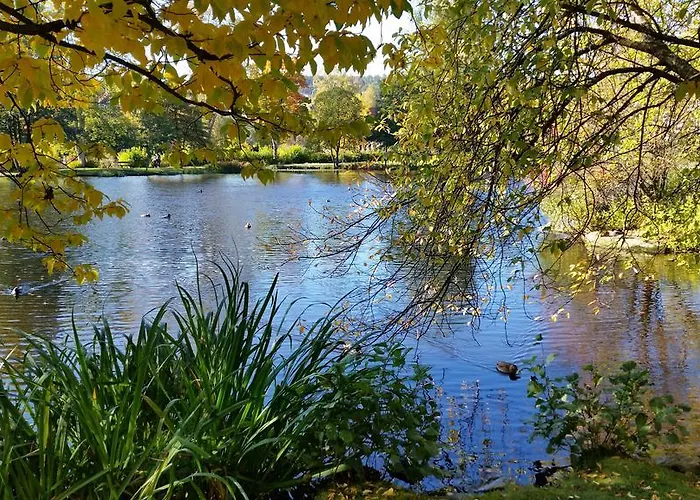 Harz Blick アパート ブラウンラーゲ