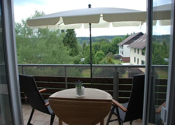 Harz Blick * ブラウンラーゲ