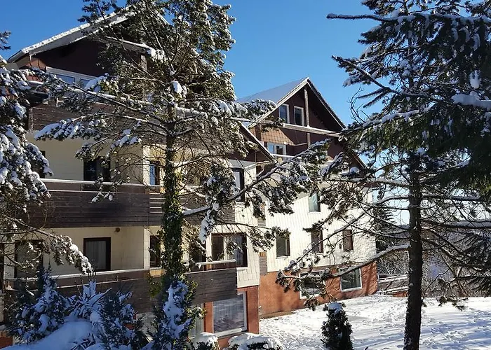 Harz Blick ブラウンラーゲ