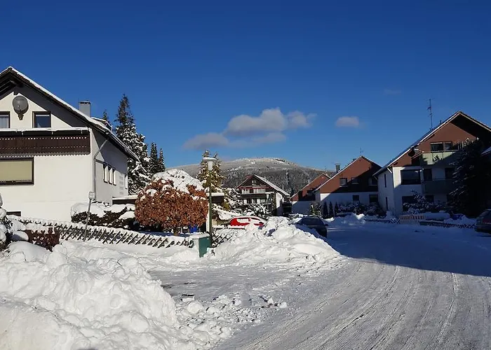 Harz Blick * ブラウンラーゲ