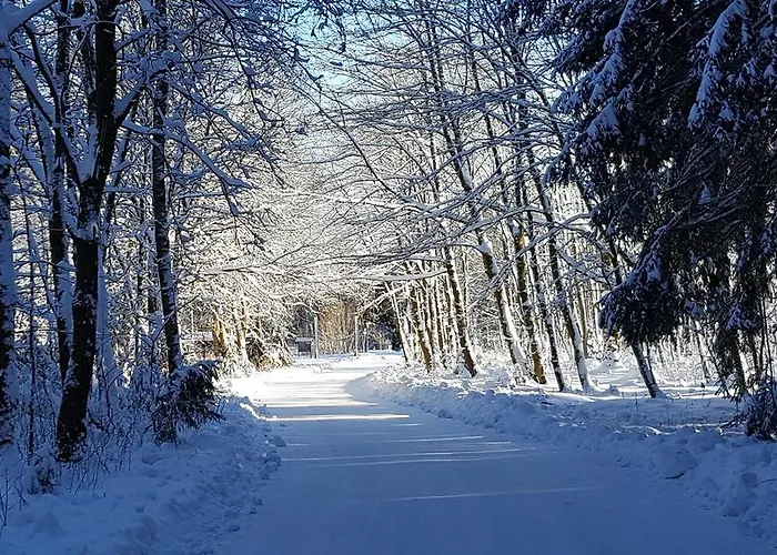 דירה Harz Blick *