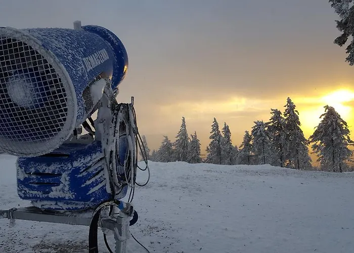 アパート Harz Blick *