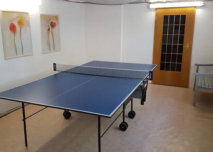 Harz Blick Apartament *