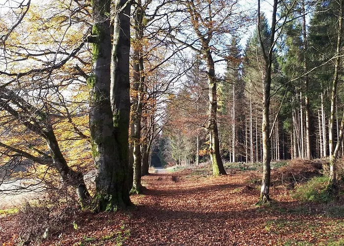 Harz Blick * Braunlage