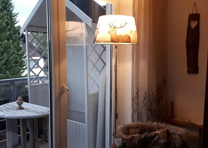 Harz Blick * ブラウンラーゲ